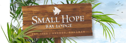Small Hope Lodge